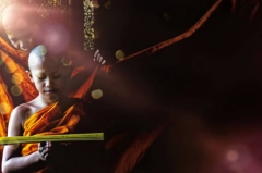 Từ bi không chỉ bằng lời nói